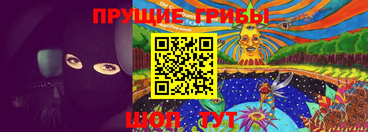 Псилоцибиновые грибы Psilocybe  продажа наркотиков  Кашира  Вход с VPN 