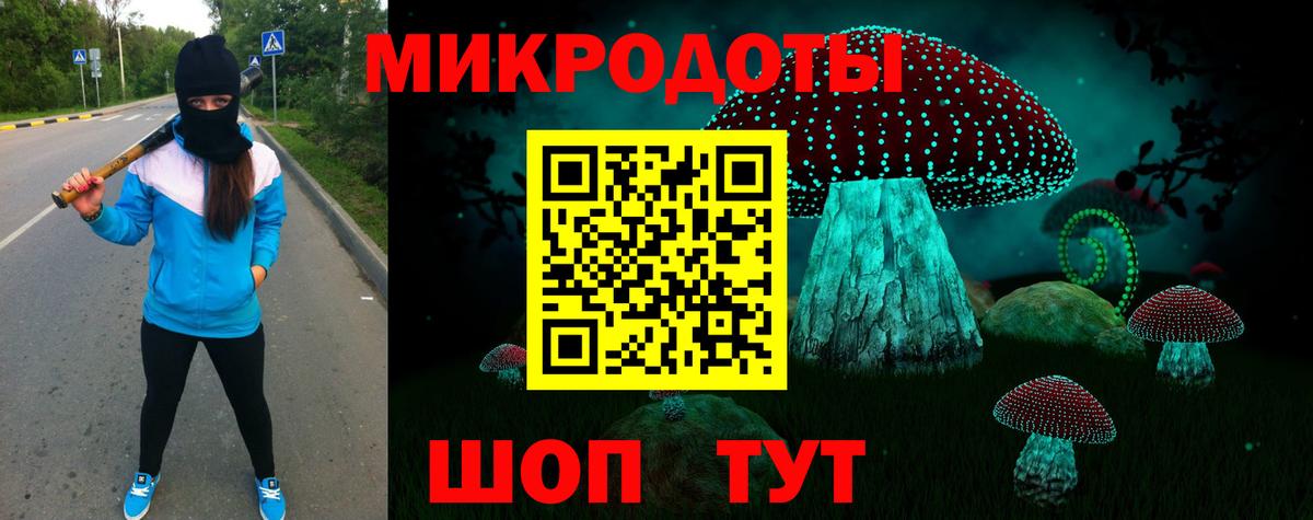 Псилоцибиновые грибы Psilocybe Кашира